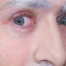 Bush looking at you