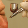 Bush airbrush