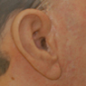 Bush airbrush