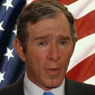Bush with flag